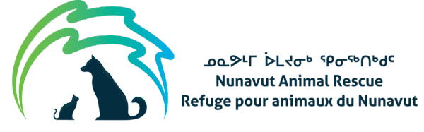 Nunavut Animal Rescue 